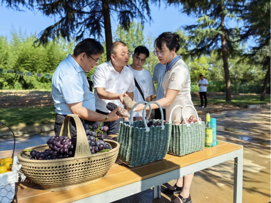 “科创中国彩色种粮农业示范基地”在西安启动